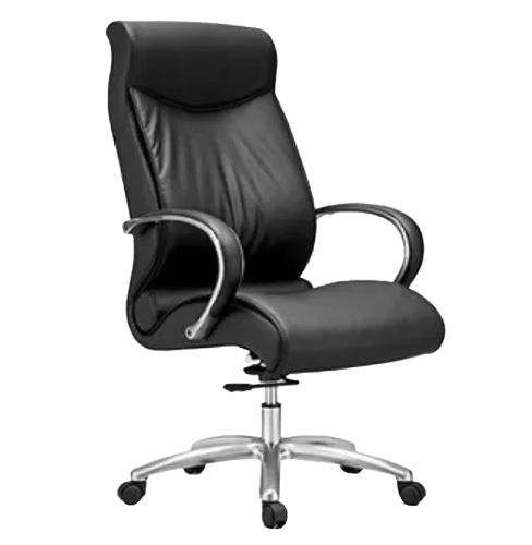 Director Chair